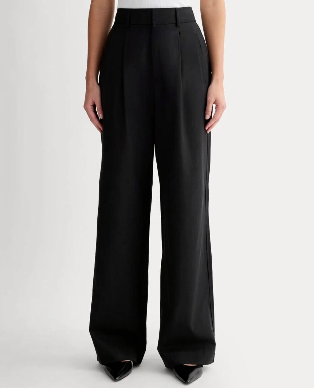 NWT Everlane The Draper Pleated Pant Black Wide Leg Tencel Size 16 Short